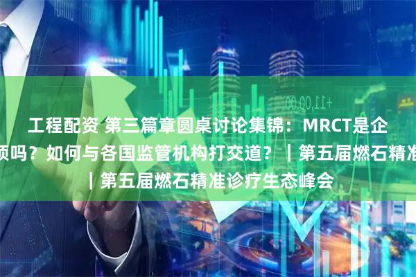 工程配资 第三篇章圆桌讨论集锦：MRCT是企业出海的必选项吗？如何与各国监管机构打交道？｜第五届燃石精准诊疗生态峰会
