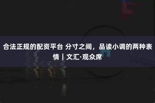 合法正规的配资平台 分寸之间，品读小调的两种表情｜文汇·观众席